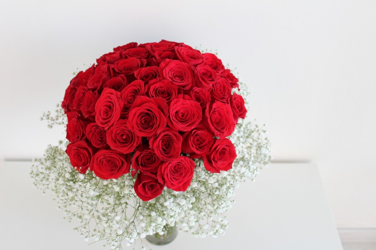 Ramo 50 rosas | Comprar Rosas Baratas Online - Floristería Tornasol