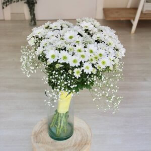 Bouquet pequeño de margaritas blancas