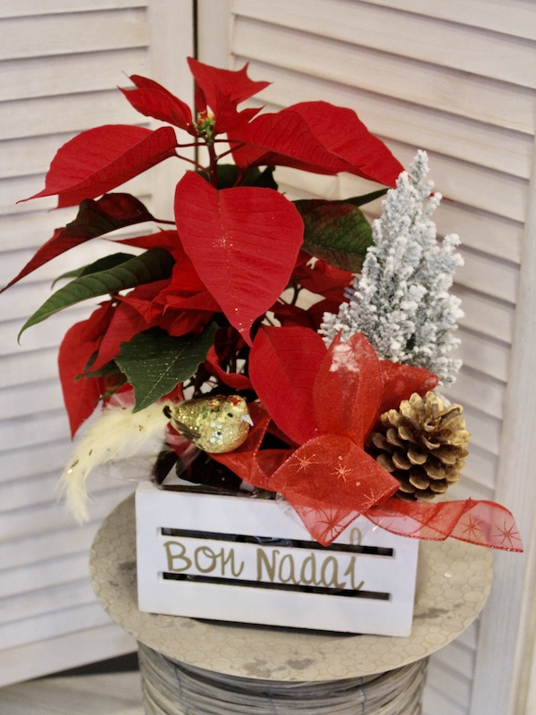 caja de madera con flor de pascua, un pino nebado y una lazada navideña
