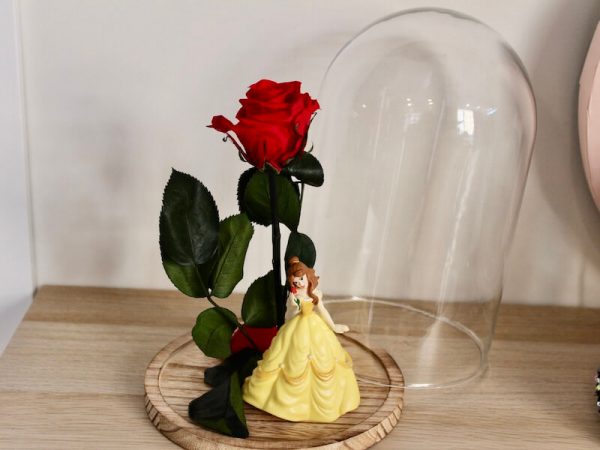 Rosa eterna Bella dentro d ela urna de cristal para regalar